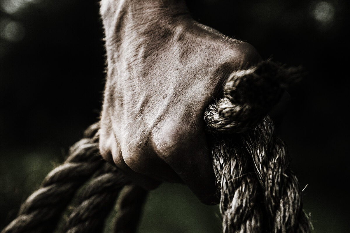 Positivity & Resilience1 pexels-evelyn-chong-1458696